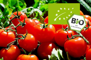 Bio-Tomaten