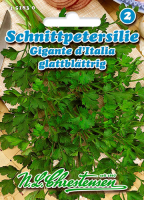 Petersilie Gigante dItalia