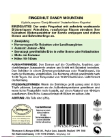 Fingerhut  Candy Mountain