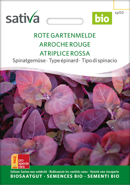 Bio-Rote Gartenmelde