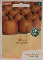 Bio-Kürbis Jack oLantern
