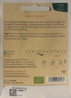 Bio-Kürbis Jack oLantern