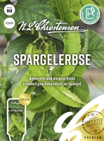 Spargelerbse