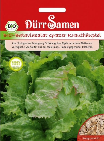 Bio-Bataviasalat Grazer Krauthäuptel