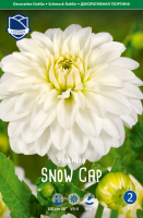 Dahlie Snow Cap 100cm