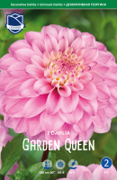 Dahlie Garden Queen 100cm