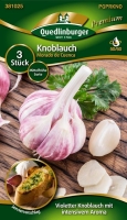 Knoblauch Murado de Cuenca 3stk.