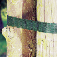 Baumanbinder grün 3cm x50m