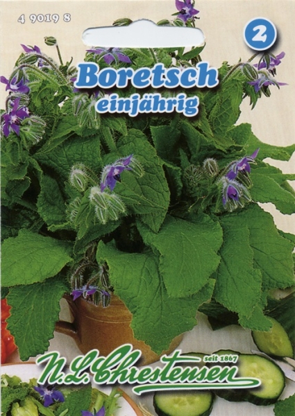 Borretsch, einjährig