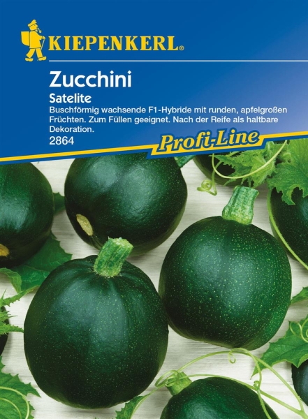 Zucchini Satelite F1