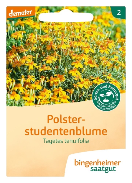 Bio-Tagetes zur Nematodenbekämpfung