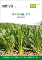 Bio-Blattzicchorie Frastagliata