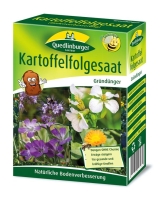 Kartoffelfolgesaat (300m²)