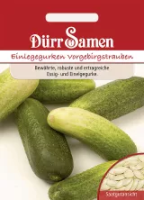 Einlegegurke Vorgebirgstrauben 50g