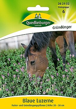 agapanthus welcher dnger Dnger fr Agapanthus 7-14-28  Alkemade bloembollen