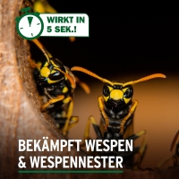 Wespen Schaum & Gel Spray