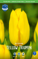 Tulpe Yellow Triumph 40cm 25 Stk.