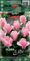 Tulpe Sweet Sixteen 35cm 10 Stk.