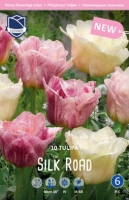 Tulpe Silk Road 40cm 10 Stk.