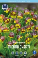 Fritillaria michailovskyi 15cm 10 Stück