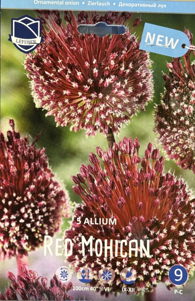 Allium Red Mohican 5 Stk.