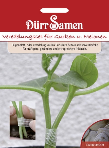 Veredlung Gurken/Melonen MHD 12/24