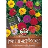 Portulakröschen Prachtmischung MHD 01/25