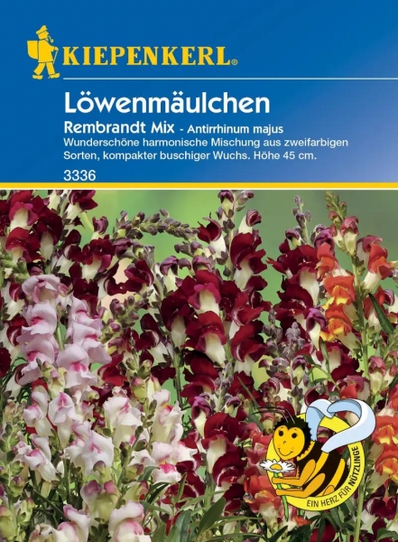 Löwenmäulchen Rembrandt Mix MHD 01/25