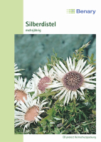 Silberdistel Simplex MHD 12/24