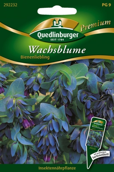 Wachsblume Bienenliebling MHD 1/2025