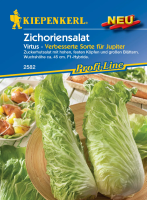 Zichoriensalat Virtus MHD 01/25