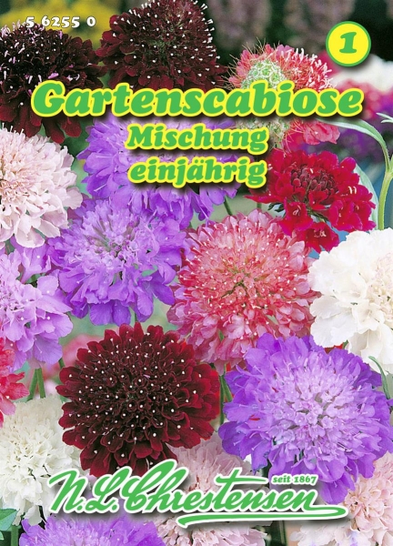 Scabiose Mischung MHD 01/25