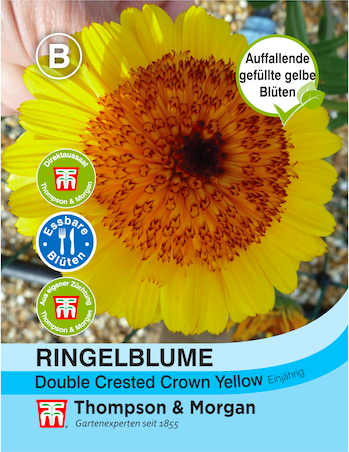 Ringelblume Double Crested Crown Yellow MHD 12/24