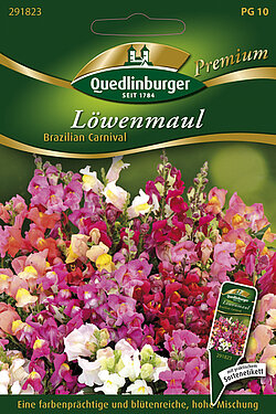 Löwenmaul Brazilian Carnival (Verpackung beschädigt)