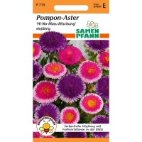 Aster Pompon Hi-No-Maru-Mix MHD 01/25