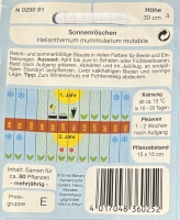 Sonnenröschen MHD 12/24