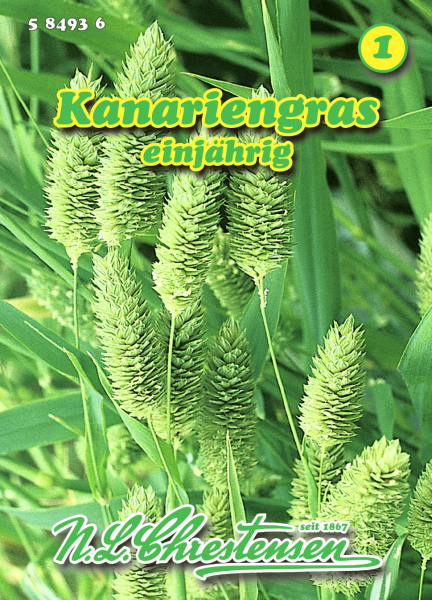 Kanariengras