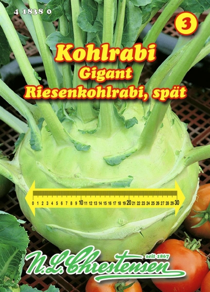 Riesenkohlrabi Gigant MHD 01/25