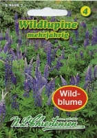 Lupine blau