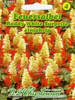 Salbei Reddy White Surprise MHD 01/24