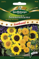 Sonnenblumen Mix 80cm hoch Saatband 6m MHD 1/26