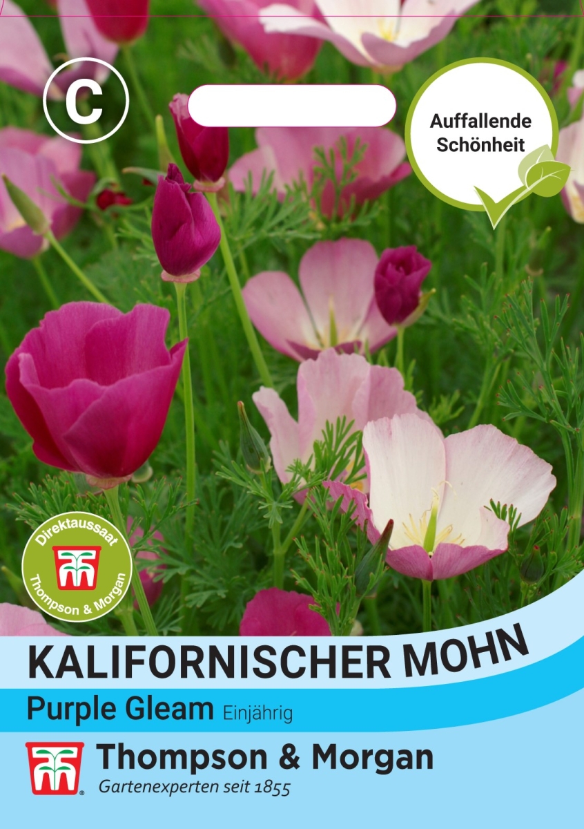 Goldmohn Samen – Eschscholzia Californica, 100 Stück – Leuchtend Orange & Gelb, Trockenresistent
