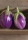 Aubergine Rosa Bianca