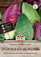 Spitzkohl & Wirsing Mischung