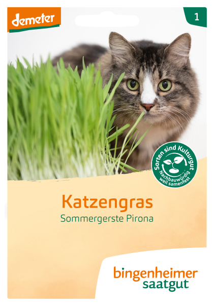 Bio-Katzengras