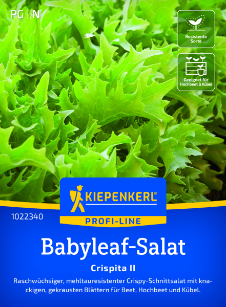 Babyleaf-Salatsamen Crispita II