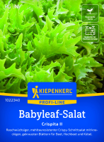Babyleaf-Salatsamen Crispita II