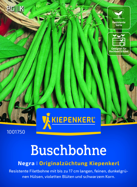 Buschbohnensamen Negra