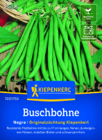Buschbohnensamen Negra