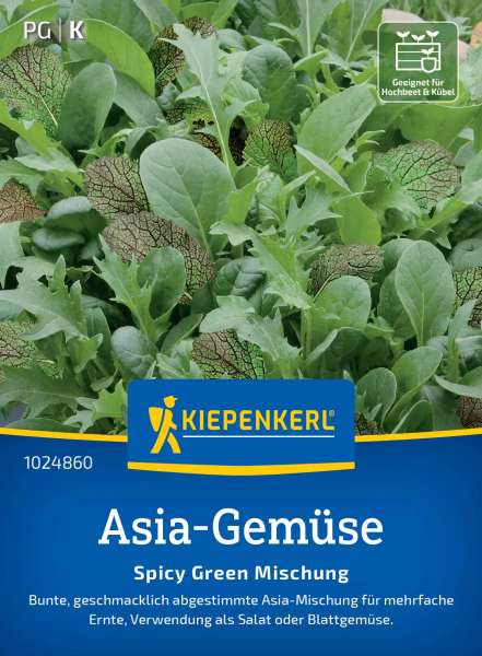 Asia-Gemüsesamen Spicy Green